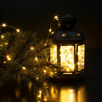 Elektrostandard 400-009 / гирлянда бытовая электрическая нить / теплый белый a060413