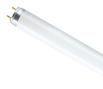 Osram Лампа люминесцентная L 36W/640 T8 G13 4008321959713