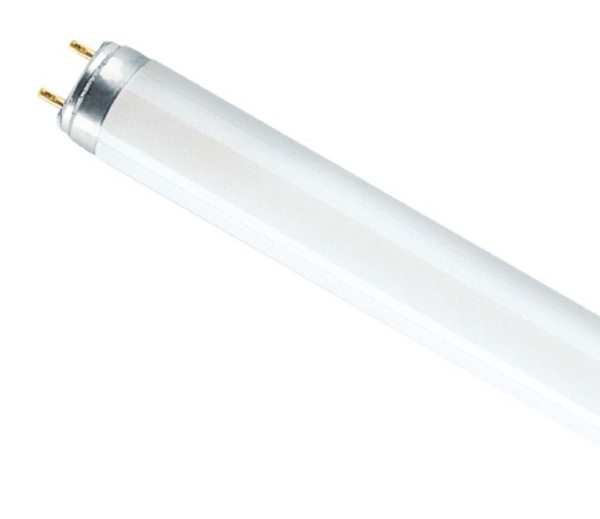 Osram Лампа люминесцентная L 36W/765 T8 G13 4008321959836