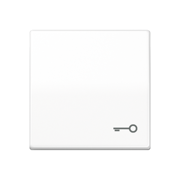 JUNG Клавиша для выключателя с символом "замок" белая ABAS591TWW