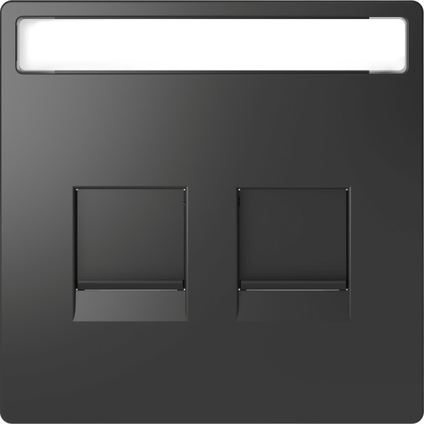 SE Merten D-Life Антрацит Накладка центральная для 2-х модульных разъемов MTN4564-6034