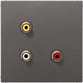 JUNG 2x Cinch Audio (RCA) / Composite Video, антрацит MAAL1031AN