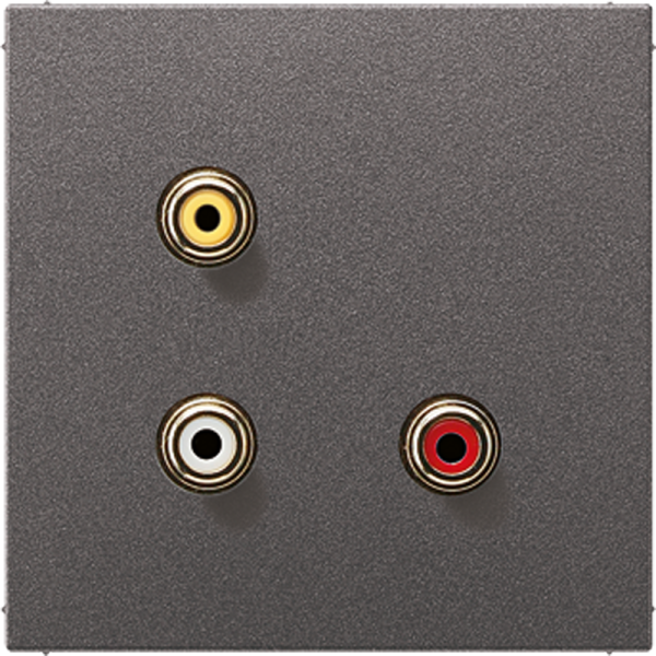JUNG 2x Cinch Audio (RCA) / Composite Video, антрацит MAAL1031AN