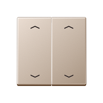 JUNG Клавиши для сдвоенной кнопки BCU, шампань A595MPCH