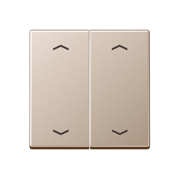 JUNG Клавиши для сдвоенной кнопки BCU, шампань A595MPCH