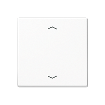 JUNG Центральная плата для вставок управления двигателями, белый A1700BFPWW