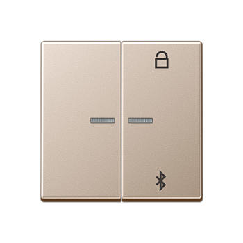 JUNG Таймер универсальный Bluetooth, шампань A1751BTCH