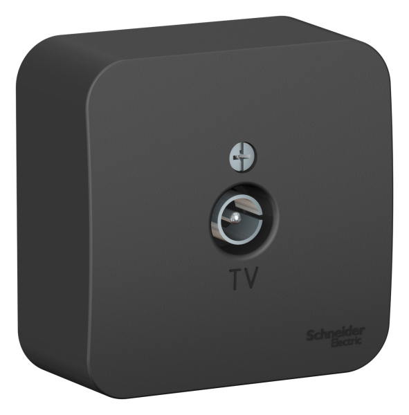 Купить Systeme Electric Blanca наруж Антрацит Розетка TV, изолир. пластина