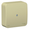 Systeme Electric Blanca наруж Беж Коробка распределительная IP42