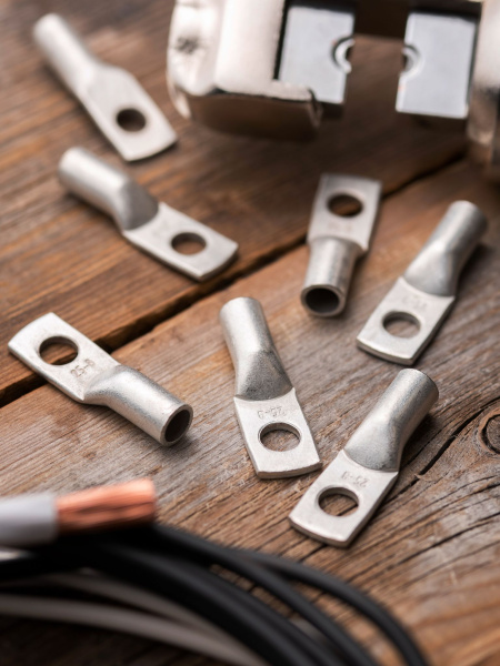 Купить EKF PROxima Наконечник медный луженый ТМЛ 25-8-8