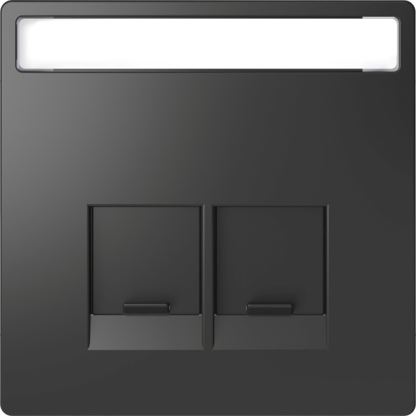 SE Merten D-Life Антрацит Накладка центральная для 2-х модульных разъемов MTN4574-6034