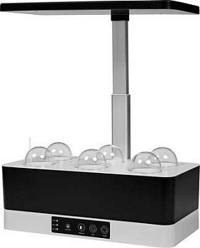 Ledvance Светильник для растений GARDEN KIT 24 Вт 1670Лм 3600 К 4058075576179