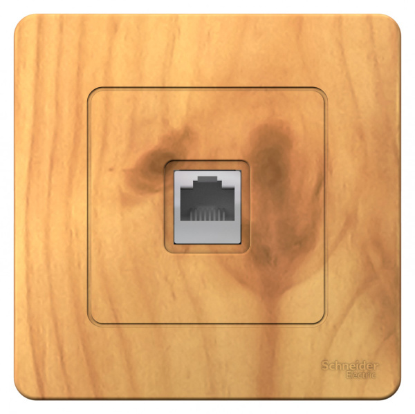 Systeme Electric Blanca внутр Ясень Розетка компьютерная RJ45
