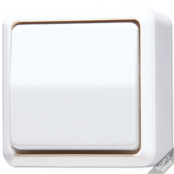 JUNG Слоновая кость Выключатель для накладного монтажа, универсальный 606A