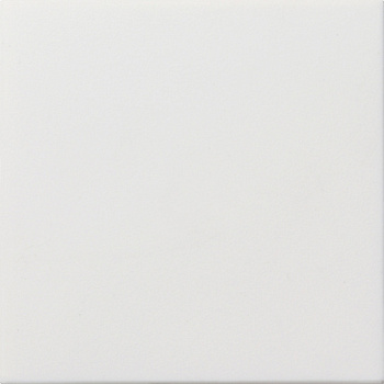 Gira F100 Бел глянц Заглушка с опорной пластиной 0268112