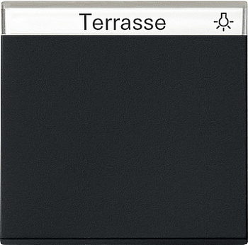 Gira Клавиша с полем для надписи 0299005