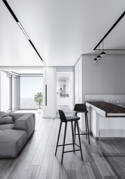 Купить Maytoni Magnetic track system Аксессуар для трекового светильника Черный TRX004-211B