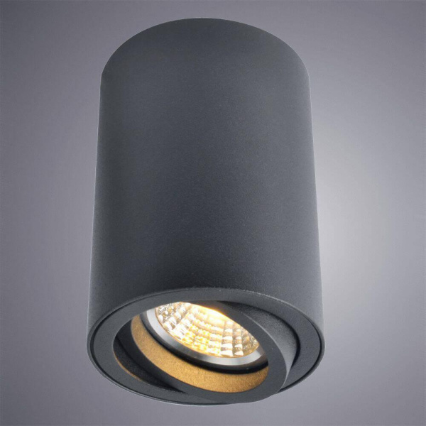 Купить Arte Lamp SENTRY Потолочные светильники A1560PL-1BK