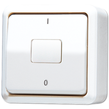 JUNG Выключатель для накладного монтажа, двухполюсный белый 602AWW