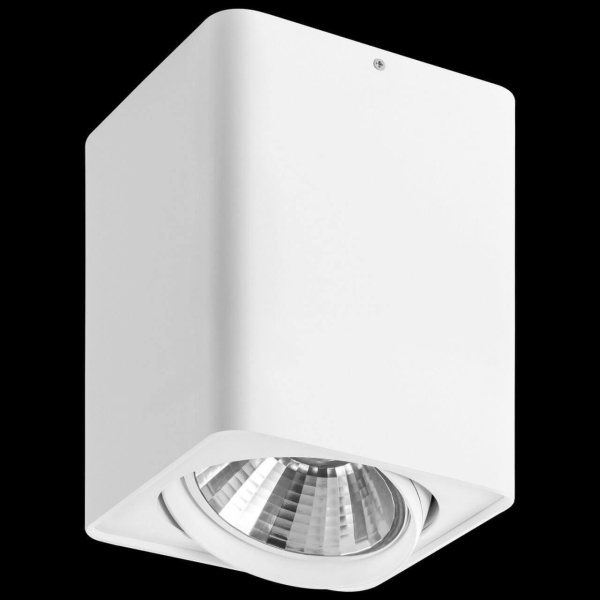 Купить Lightstar Светильник точечный накладной декоративный под заменяемые галогенные или LED лампы Monocco Lightstar 212636