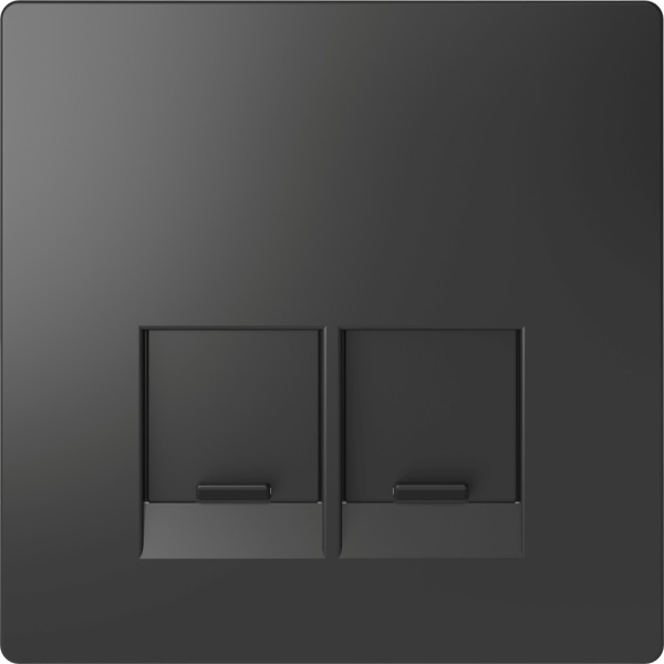 SE Merten D-Life Антрацит Накладка центральная для 2-х модульных разъемов, пол. д/надписи MTN4572-6034