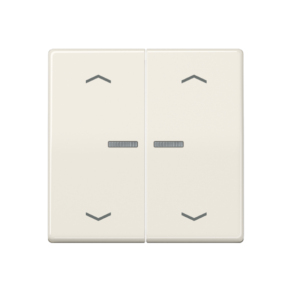 JUNG Клавиши для кнопки BCU слоновая кость AS591-5KO5MP