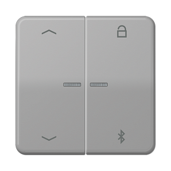 JUNG Таймер универсальный Bluetooth «стрелки», серый CD1751PBTGR