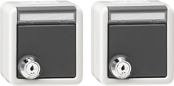 Gira Набор из 2 розеток с запирающейся на ключ крышкой IP44 078730