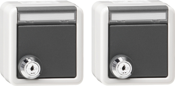 Gira Набор из 2 розеток с запирающейся на ключ крышкой IP44 078730