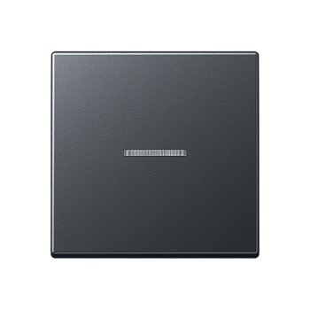 JUNG Матовый Антрацит Клавиша с окошком; термопласт A590BFKO5ANM