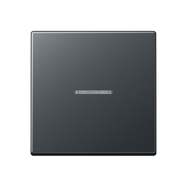 JUNG Матовый Антрацит Клавиша с окошком; термопласт A590BFKO5ANM