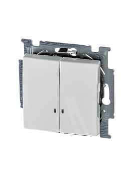 ABB BJB Basic 55 Бел Выключатель 2-клавишный с подсветкой 2CKA001012A2154