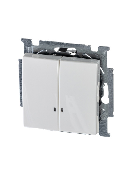 ABB BJB Basic 55 Бел Выключатель 2-клавишный с подсветкой 2CKA001012A2154