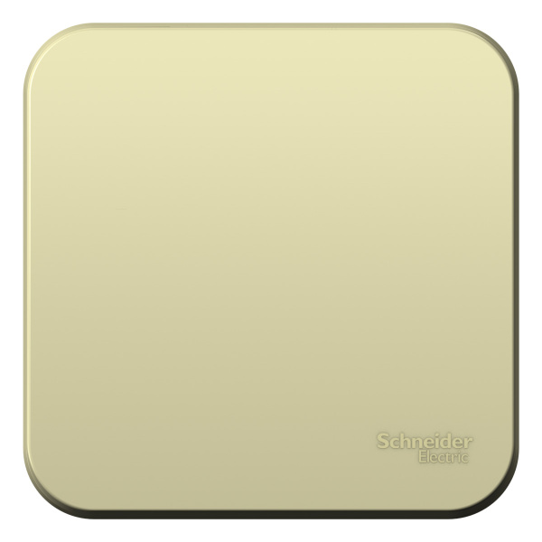 Купить Systeme Electric Blanca наруж Беж Переключатель 1-клавишный (cх.6) изолир. пластина 10А, 250B