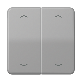 JUNG Клавиши для сдвоенной кнопки BCU серые CD595MPGR