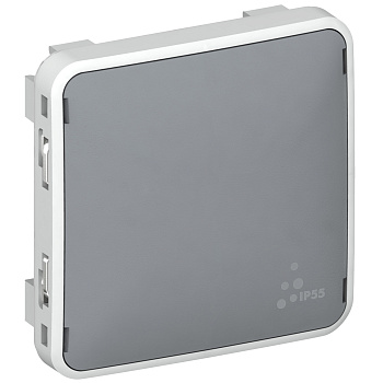 Legrand Plexo Серый Лиц.пан. заглушки 069537