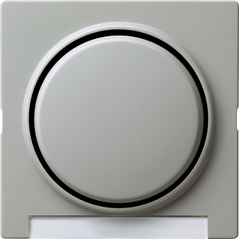 Gira Клавиша с полем для надписи 029942