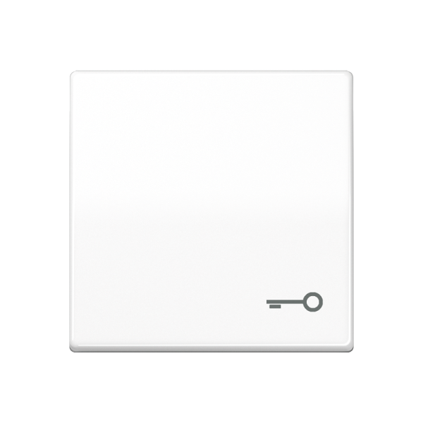JUNG Клавиша для выключателя с символом "замок" белая AS591TWW