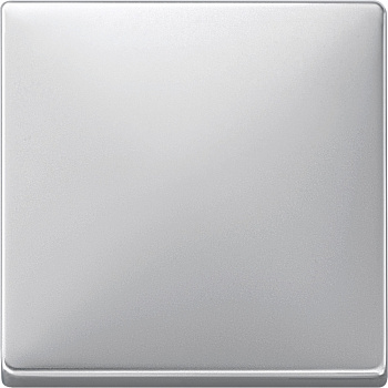 SE Merten SD Алюминий Клавиша 1-ая MTN412160