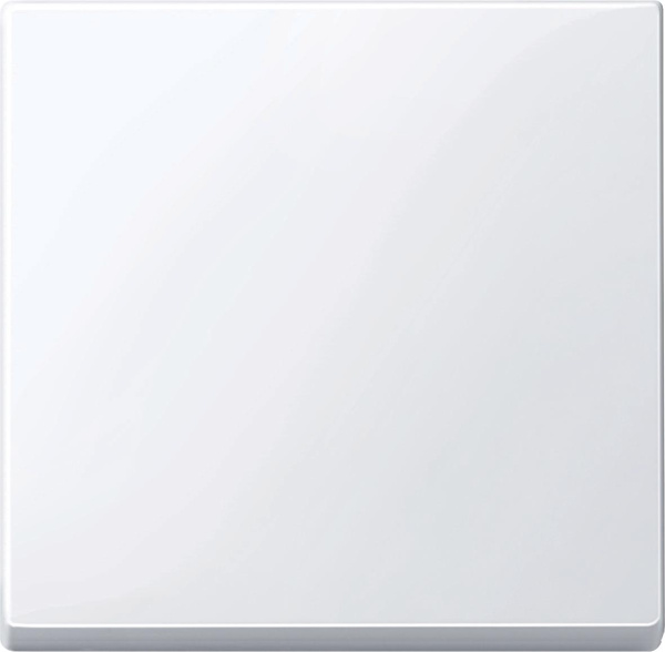 Купить SE Merten SM Бел Актив Клавиша 1-ая MTN432125