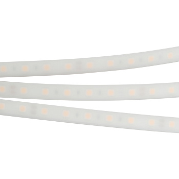 Arlight Светодиодная лента герметичная RTW-PW-B60-13mm 24V Day4000 (14.4 W/m, IP66, 5060, 5m) (-) 016181(2)