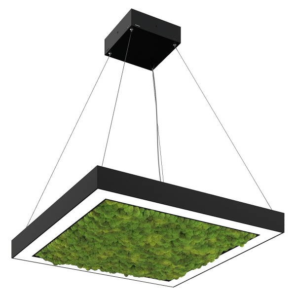 Svetholl Глоу мосс (Квадрат стандартный профиль) L250 Мощность: 25W ISGMK2-071065-025030025