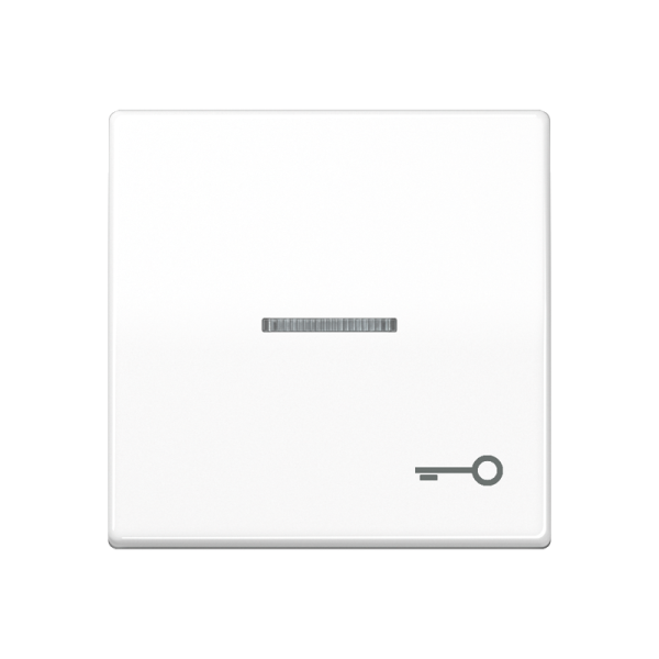 JUNG Клавиша для выключателя с окошком для подсветки и символом "замок" белая AS591KO5TWW