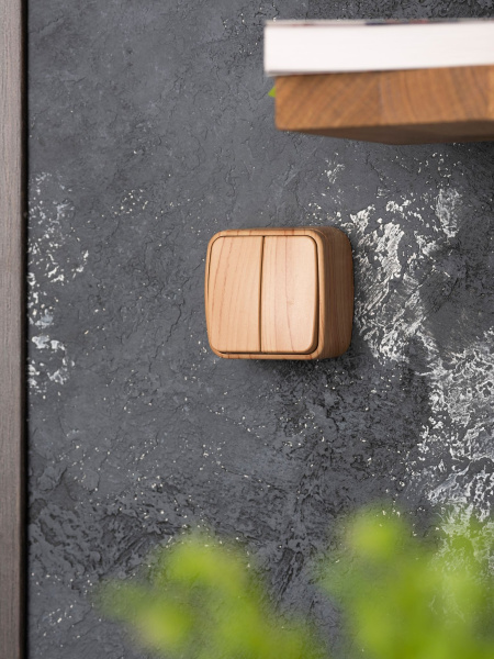 Купить EKF Basic Минск Светлое дерево Выключатель 2-кл, 10А, ОП