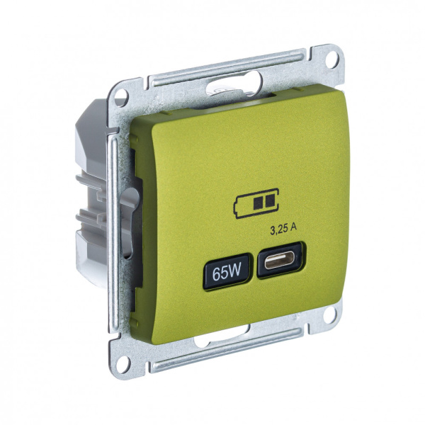 Systeme Electric Glossa Фисташковый USB Розетка тип-C 65W высокоскор.заряд. QC, PD, мех.