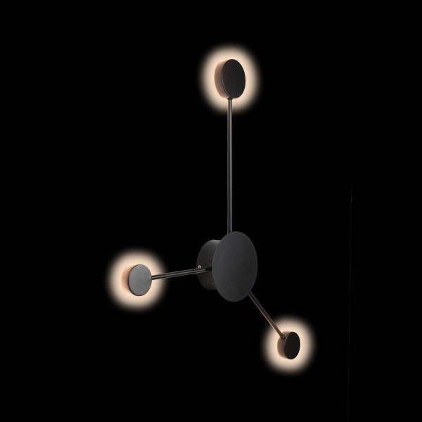 Купить LOFT IT 10059BK Светильник настенный Rays, шт