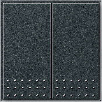 Gira TX-44 Антрацит Выключатель 2 клав. с самовозвратом в сборе 012567