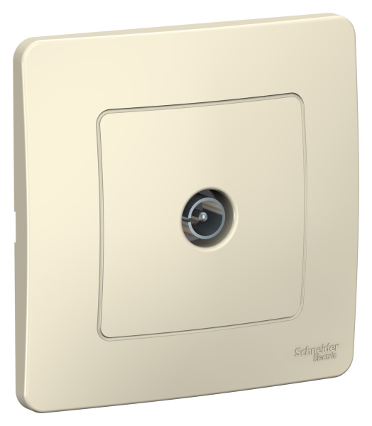 Купить Systeme Electric Blanca внутр Молочная Розетка TV