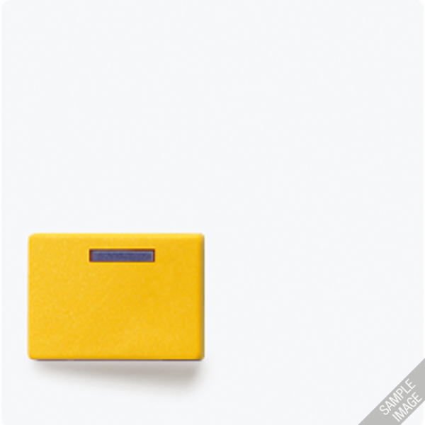 JUNG Крышка для розетки фирмы Ackermann LS642DWW