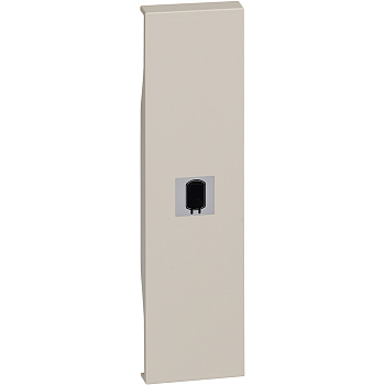 BT Living now Песочный Лицевая панель с символом бойлер для выключ и переключ 1 мод KM01SN